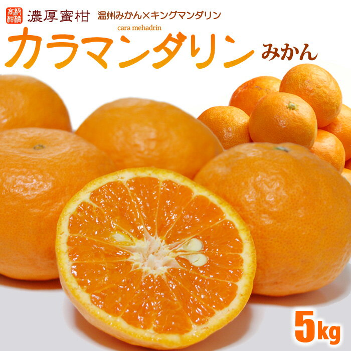 カラマンダリン (約5kg) 和歌山産/愛媛産/三重産 青秀 5キロ 春みかん カラー 温州みかん × キングマンダリン 柑橘 食品 フルーツ 果物 みかん カラマンダリン ギフト 贈答 進物 御供え お供え 送料無料のサムネイル