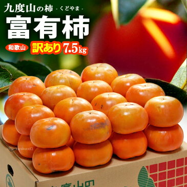 訳あり富有柿(約7.5kg)和歌山九度山産 ふゆう柿 ふゆうがき ご家庭用 ワケアリ 食品 フルーツ 果物 柿 送料無料
