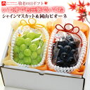 敬老の日 ギフト専用 シャインマスカット × 岡山ピオーネ セット (計2房) 岡山産 ぶどう セット 食品 フルーツ 果物 ブドウ プレゼント ギフト 202...