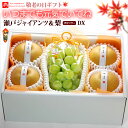 敬老の日 ギフト専用 瀬戸ジャイアンツ (1房) × 日田の完熟梨 (4玉) 岡山/大分産 ぶどう 梨 セット 秋月 あきづき 食品 フルーツ 果物セット 詰め...