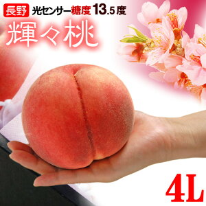 輝々桃 (キラキラ桃) 4L×6玉 (約2.5kg) 長野産 秀品 きらきら桃 桃 もも モモ peach 白桃 糖度13.5度以上 暑中見舞い 残暑見舞い 夏ギフト 食品 フルーツ 果物 桃 ギフト 贈答 お供え 御供え 送料無料