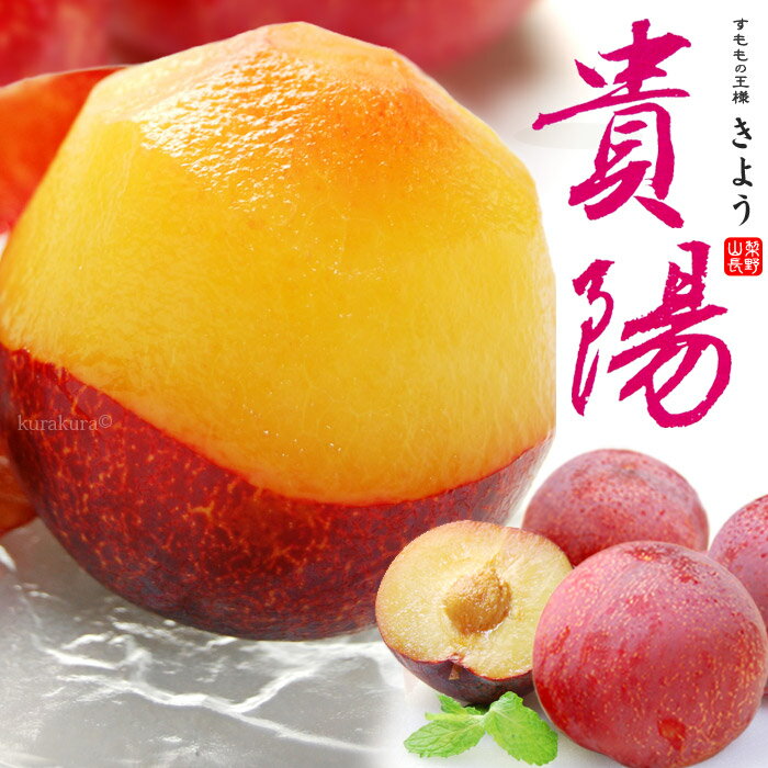 貴陽 プラム (7-12玉/約1.8kg) 山梨 長野産 秀品 きよう 国産 すもも スモモ ぷらむ plum 食品 フルーツ 果物 プラム 贈答 ギフト 御中元 お中元 お供え 御供え 送料無料