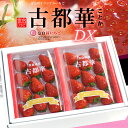 古都華 いちご デラックス (約270g×2P) 奈良産 古都華DX ことか 古都華いちご 古都華苺 贈答用 ギフト いちご 苺 イチゴ 大粒 大玉 高糖度 甘...