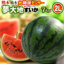 熊本すいか 夢大地 鹿本のスイカ (2L×1玉) 熊本産 秀品 熊本スイカ 贈答 ギフト 熊本 すいか 西瓜 スイカ かもと 糖度11度以上選果 光センサーによる空洞検査済み 食品 フルーツ 果物 スイカ ギフト 贈答 進物 御供え お供え 送料無料