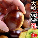 栗 3L (約5kg) 熊本・愛媛・茨城産 大粒 和栗 生栗 くり クリ 5キロ 食品 フルーツ 果物 栗 甘い 人気 男性 女性 喜ばれる 2025 送料無料