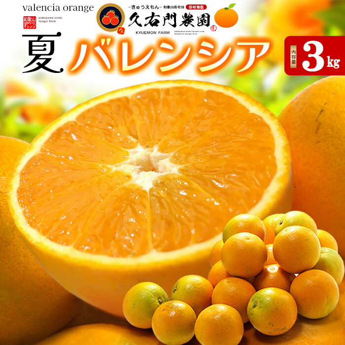 久右門農園 バレンシアオレンジ 秀品 (約3kg) 和歌山県 有田郡 湯浅町産 国産 バレンシア オレンジ おれんじ valencia orange 国産 3キロ きゅうえもん 田村地区 甘い 人気 男性 女性 喜ばれる 2025 食品 フルーツ 果物 みかん 高糖度 甘い 柑橘 送料無料のサムネイル