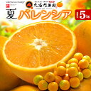 久右門農園 バレンシアオレンジ 秀品 (約5kg) 和歌山県 有田郡 湯浅町産 国産 バレンシア オレンジ おれんじ valencia orange 国産 5キロ きゅうえもん 田村地区 食品 フルーツ 果物 みかん 高糖度 甘い 柑橘 送料無料