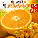 久右門農園 バレンシアオレンジ 訳あり ご家庭用 (約5kg) 和歌山県 有田郡 湯浅町産 国産 バレンシア オレンジ おれんじ valencia orange...