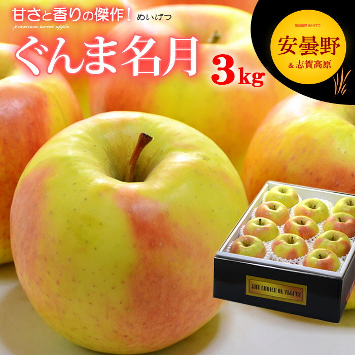 ぐんま名月 りんご (3kg) 長野産 秀品 贈答用 名月りんご ぐんま名月 めいげつ メイゲツ apple ringo リンゴ 林檎 食品 フルーツ 果物 りんご ギフト 贈答 お供え 御供え 送料無料