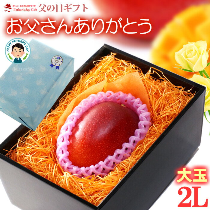 父の日 ギフト 宮崎マンゴー (2L×1玉/約350g) 宮崎産 秀品 父の日ギフト 専用 宮崎 完熟マンゴー 国産マンゴー アップルマンゴー アーウィン種 mango まんごー ギフト 贈答 国産 完熟 マンゴー 高糖度 甘い 食品 フルーツ 果物 マンゴー ラッピング 送料無料