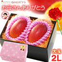 遅れてごめんね! 母の日 ギフト 宮崎マンゴー (2L×2玉/約700g) 宮崎産 赤秀〜青秀 2025 母の日ギフト 専用 宮崎 完熟マンゴー 国産マンゴー ...