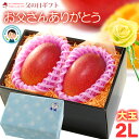 父の日 ギフト 宮崎マンゴー (2L×2玉/約700g) 宮崎産 2025年 赤秀〜青秀 父の日ギフト 専用 宮崎 完熟マンゴー 国産マンゴー アップルマンゴー...
