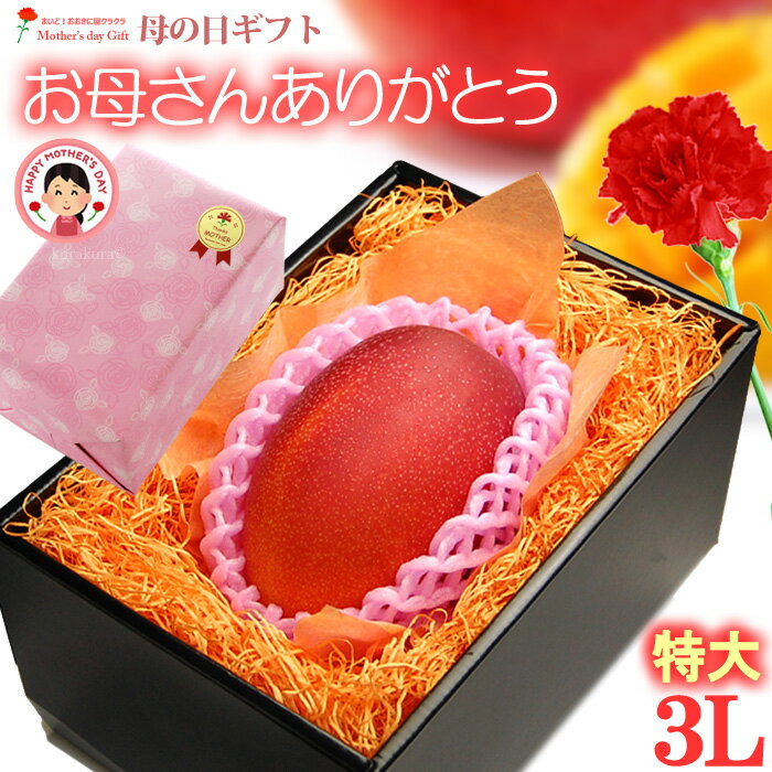 遅れてごめんね！ 母の日 ギフト 宮崎マンゴー (3L×1玉/約460g) 宮崎産 秀品 2024 母の日ギフト 専用 宮崎 完熟マンゴー 国産マンゴー アップルマンゴー アーウィン種 ギフト 贈答 国産 完熟 マンゴー 高糖度 甘い 食品 フルーツ 果物 マンゴー ラッピング 送料無料