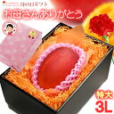 母の日 ギフト 宮崎マンゴー (3L×1玉/約460g) 宮崎産 赤秀〜青秀 2025 母の日ギフト 専用 宮崎 完熟マンゴー 国産マンゴー アップルマンゴー ...