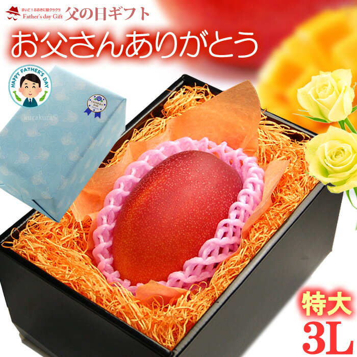 父の日 ギフト 宮崎マンゴー (3L×1玉/約460g) 宮崎産 秀品 父の日ギフト 専用 宮崎 完熟マンゴー 国産マンゴー アップルマンゴー アーウィン種 mango まんごー ギフト 贈答 国産 完熟 マンゴー 高糖度 甘い 食品 フルーツ 果物 マンゴー ラッピング 送料無料