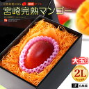 宮崎マンゴー (2L/約350g) 宮崎産 秀品 宮崎完熟マンゴー 国産マンゴー アップルマンゴー アーウィン種 mango ギフト 贈答 国産 完熟 マンゴー 高糖度 甘い 食品 フルーツ 果物 マンゴー 母の日 父の日 お中元 御中元 御供え お供えv