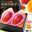 宮崎マンゴー (2L×2玉/約700g) 宮崎産 赤秀〜青秀 宮崎完熟マンゴー 国産マンゴー アップルマンゴー アーウィン種 mango ギフト 贈答 国産 完...