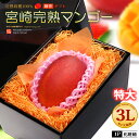 宮崎マンゴー (3L/約450g) 宮崎産 秀品 宮崎完熟マンゴー 国産マンゴー アップルマンゴー アーウィン種 mango ギフト 贈答 国産 完熟 マンゴー 高糖度 甘い 食品 フルーツ 果物 マンゴー 母の日 父の日 お中元 御中元 御供え お供え 送料無料