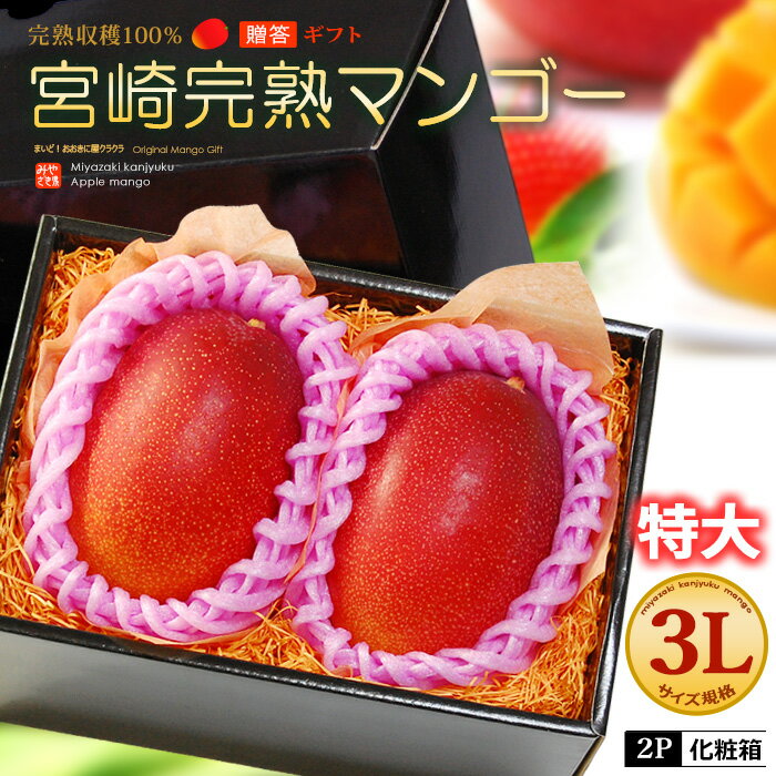 宮崎マンゴー (3L×2玉/約900g) 宮崎産 秀品 宮崎完熟マンゴー 国産マンゴー アップルマンゴー アーウィン種 mango ギフト 贈答 国産 完熟 マンゴー 高糖度 甘い 食品 フルーツ 果物 マンゴー 母の日 父の日 お中元 御中元 御供え お供え 送料無料