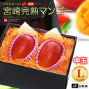 マンゴー 宮崎マンゴー (L×2玉/約600g) 宮崎産 秀品 宮崎完熟マンゴー 国産マンゴー アップルマンゴー mango まんごー アーウィン種 ギフト 贈答 国産 高糖度 甘い 食品 フルーツ 果物 マンゴー 母の日 父の日 お中元 御中元 御供え お供え 送料無料