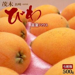 温室 茂木びわ L-2L (9-12粒/約500g) 長崎産 秀品 ギフト 贈答 ハウスビワ 食品 フルーツ 果物 びわ 茂木ビワ もぎびわ 枇杷 進物 御供え お供え 送料無料