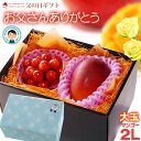 父の日 ギフト 宮崎マンゴー (2L×1玉/約350g以上) と 山形さくらんぼ 佐藤錦 (M玉×約100g) セット 秀品 サクランボ マンゴー 父の日ギフト 専用 宮崎 完熟マンゴー アップルマンゴー ギフト 贈答 国産 完熟 マンゴー 高糖度 フルーツ 果物 マンゴー ラッピング 送料無料