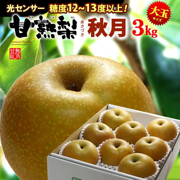 甘熟 あきづき 秋月梨 3L-5L (約3kg) 産地お任せ 秀品 梨 なし ナシ pear 光センサー 糖度12度以上 大玉 秋月 食品 フルーツ 果物 和梨 残暑見舞い ギフト お供え 御供え 送料無料