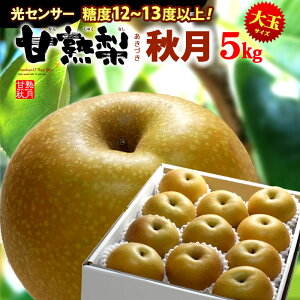 甘熟 あきづき 秋月梨 3L-5L (約5kg) 産地お任せ 秀品 梨 なし ナシ pear 光センサー 糖度12度以上 大玉 秋月 食品 フルーツ 果物 和梨 残暑見舞い ギフト お供え 御供え 送料無料