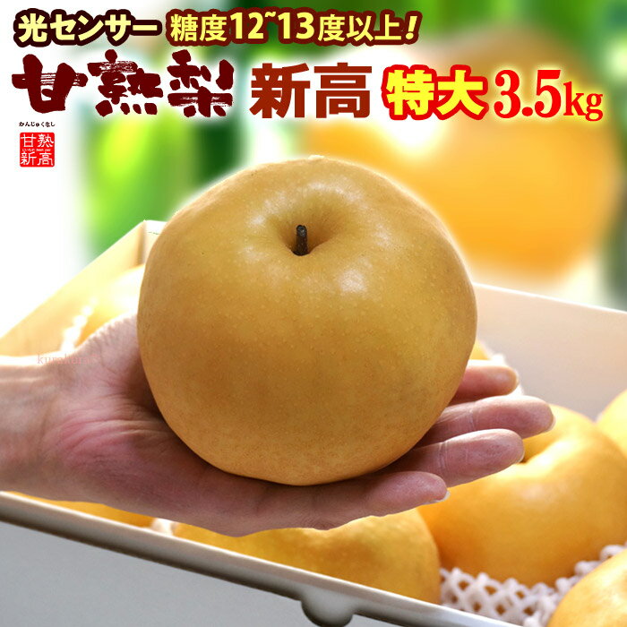 甘熟 新高梨 6L (約3.5kg) 産地はお任せ 秀品 梨 なし ナシ pear 光センサー 糖度12度以上 大玉 新高梨 食品 フルーツ 果物 和梨 新高 送料無料