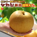 甘熟 新高梨 7L (約5kg) 産地はお任せ 秀品 梨 なし ナシ pear 糖度12度以上 超特大 新高梨 食品 フルーツ 果物 和梨 新高 甘い 人気 男性 女性 喜ばれる 2025 送料無料