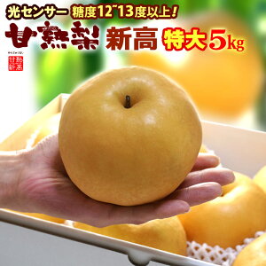 甘熟新高梨6L(約5kg)産地はお任せ 秀品 糖度12度以上の特大新高梨 食品 フルーツ 果物 和梨 新高 送料無料