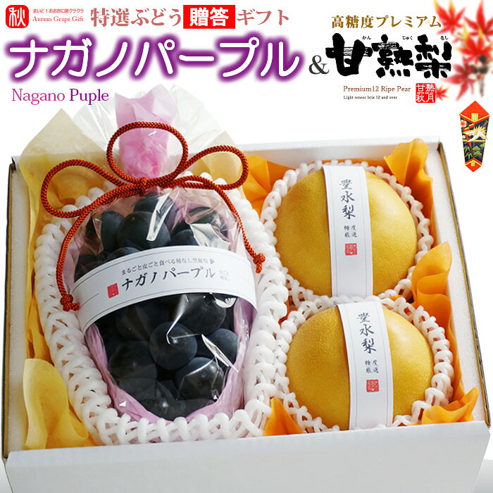ギフト贈答用 ナガノパープル (1房) × 甘熟梨 (2玉) 長野産/大分・新潟・長野産 ぶどう 秀品 皮ごと 種無し 豊水梨 あきづき梨 南水梨 新高梨 食品 フルーツ 果物 ブドウ ギフト 甘い 人気 男性 女性 喜ばれる 2026 送料無料