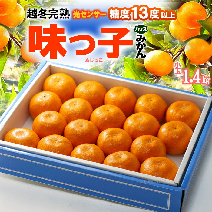 ハウス 味っ子 みかん (約1.4kg) 長崎産 ハウスみかん S 小玉 糖度13度以上 あじっこ 無加温 温室みかん 西海みかん 越冬完熟 ハウス栽培 食品 フルーツ 果物 みかん 温州みかん ミカン 蜜柑 化粧箱 ギフト 贈答 御供え お供え 甘い 人気 男性 女性 喜ばれる 2026 送料無料