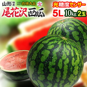 尾花沢すいか A品(5L×2玉)山形産 秀品 スイカ 西瓜 光糖度センサー&空洞検査クリア 尾花沢スイカ 食品 フルーツ 果物 スイカ 送料無料