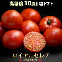 塩トマト ロイヤルセレブ (約900g)