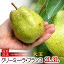 予冷熟成 ラフランス 2L/3L (約3kg) 山形産 秀品 贈答用 洋梨 洋ナシ 洋なし 西洋梨 ラ・フランス らふらんす pear 食品 フルーツ 果物 洋...