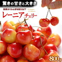 レーニア チェリー GEE WHIZ (ジーウィズ) (約800g) アメリカワシントン州産 レイニア チェリー オービル農園 オービルフルーツ社 サクランボ ...