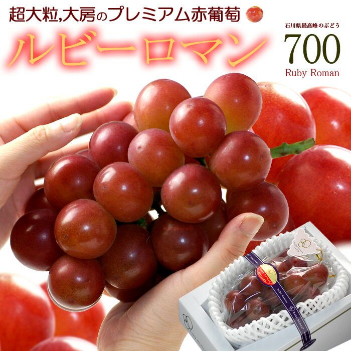 ルビーロマン (700g前後/1房) 石川産 秀品 大粒 大房 るびーろまん 浪漫 高級 ぶどう 葡萄 grape 種無し 種なし 食品 フルーツ 果物 ブドウ ギフト 贈答 プレゼント 御供え お供え 送料無料のサムネイル