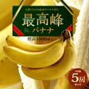 最高峰バナナ(約700g×5袋)フィリピン産 バナナ 高糖度 甘い ばなな 標高1000m以上の高地栽培 高級 食品 フルーツ 果物 バナナ 送料無料 その1