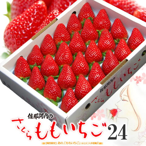 さくらももいちご(24粒/約700g)徳島県佐那河内産 ももいちご 桃 苺 桜 サクラ 贈答用 ギフト 高級いちご 大粒 大玉 高糖度 甘い 桃苺 イチゴ 苺 食品 フルーツ 果物 いちご 送料無料