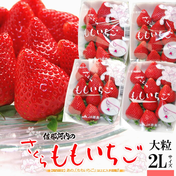 さくらももいちご(220g×4P)徳島県佐那河内産 化粧箱 ももいちご 桜 桃 いちご イチゴ 苺 4パック 高糖度 甘い ギフト 贈答用 高級 食品 フルーツ 果物 いちご 送料無料