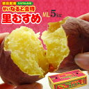 なると金時 里むすめ (M-L/5kg) 徳島県 里浦産 贈答ランク ミネラル栽培 鳴門金時 鳴門 なると きんとき 芋 里娘 さとむすめ ホクホク 焼き芋 焼いも サツマイモ 薩摩芋 さつま芋 野菜 きのこ サツマイモ ギフト 贈答 御供え 甘い 人気 男性 女性 喜ばれる 2025 送料無料