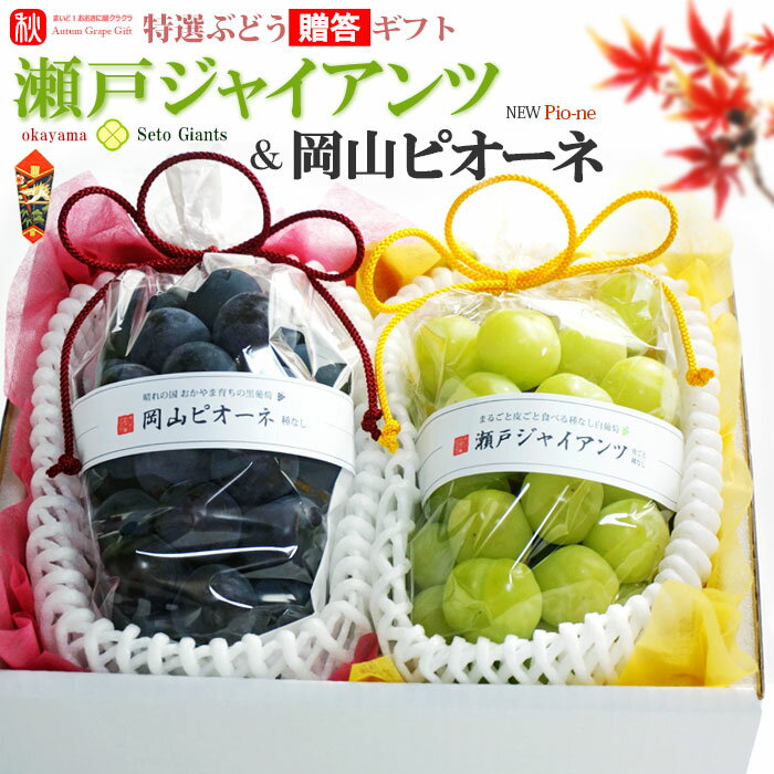 ギフト贈答用 瀬戸ジャイアンツ ＆ 岡山ピオーネ 4L×2房 (約1.3kg) 岡山産 秀品 せとじゃいあんつ ぴおーね ぶどう ブドウ 葡萄 皮ごと 種無し 食品 フルーツ 果物 ブドウ ギフト 贈答 進物 お供え 御供え 送料無料のサムネイル