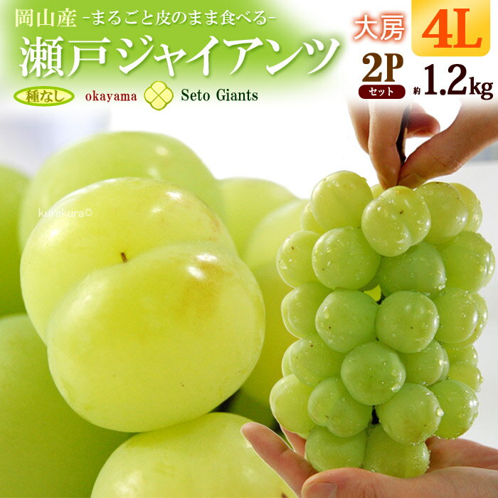 瀬戸ジャイアンツ4L×2房(約1.2kg)岡山産 ぶどう 食品 フルーツ 果物 ブドウ 瀬戸ジャイアンツ 送料無料