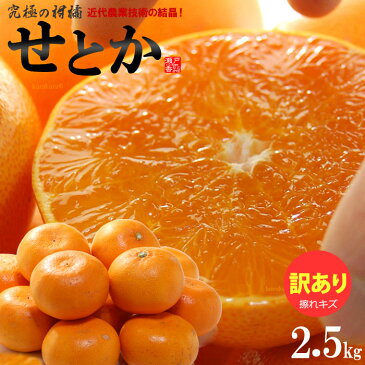 訳ありせとか(約2.5kg)愛媛産 せとか みかん せとか訳あり 柑橘 瀬戸香 食品 フルーツ 果物 みかん せとか 送料無料