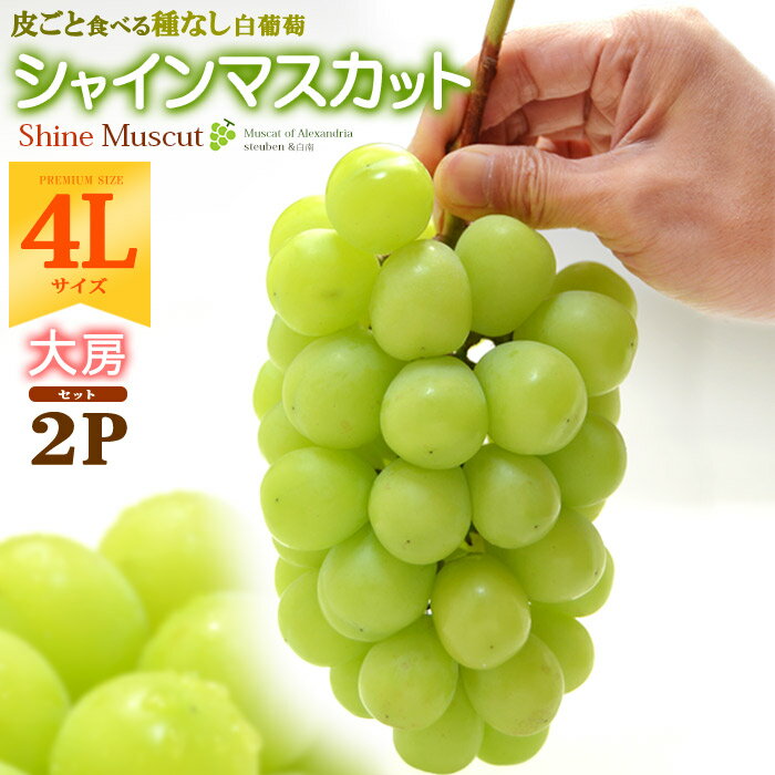 シャインマスカット 晴王 4L×2房 (約1.2kg) 岡山産 秀品 しゃいんますかっと ぶどう 葡萄 皮ごと 種無し 岡山 はれおう shine muscat 食品 フルーツ 果物 ブドウ ギフト 贈答 進物 お供え 御供え 送料無料のサムネイル