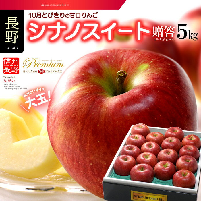 シナノスイート (約5kg) 長野産 秀品 贈答 ギフト しなの シナノ 信濃 信州 大玉 りんご リンゴ 林檎 apple ringo 5キロ 食品 フルーツ 果物 りんご ギフト 贈り物 贈答 進物 お供え 御供え 甘い 人気 男性 女性 喜ばれる 2025 送料無料