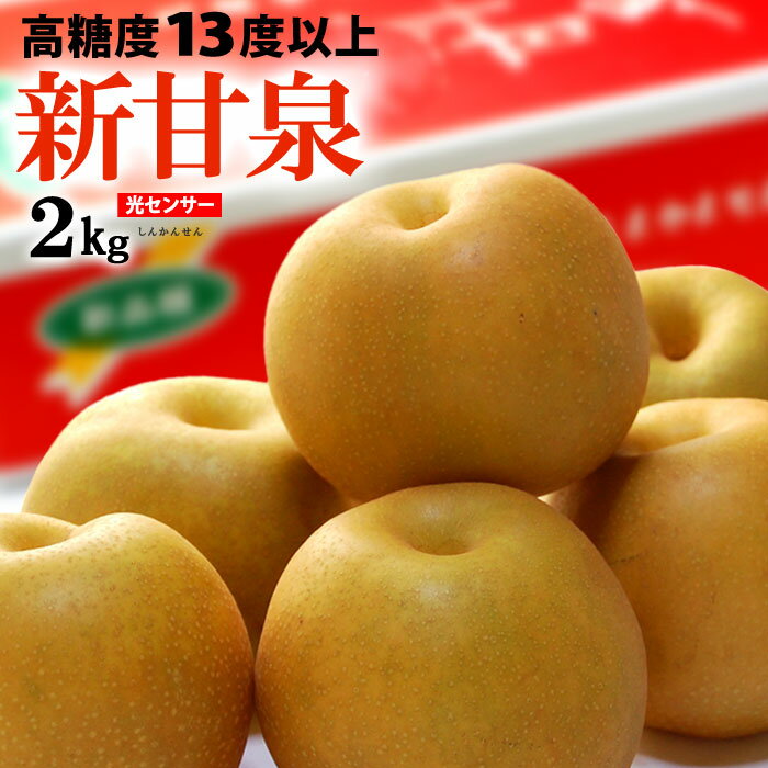 新甘泉 5-6玉 (約2kg) 鳥取産 秀品 しんかんせん 梨 なし ナシ pear 光センサー 糖度13度以上 大玉 新甘泉梨 食品 フルーツ 果物 和梨 赤梨 残暑見舞い ギフト お供え 御供え ギフト 贈答 送料無料のサムネイル