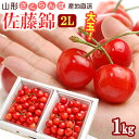山形 さくらんぼ 佐藤錦 (2L玉/1kg) 山形産 2025 露地栽培 秀品 サクランボ 1キロ 桜桃 チェリー cherry バラ詰め 6月 食品 フルーツ...