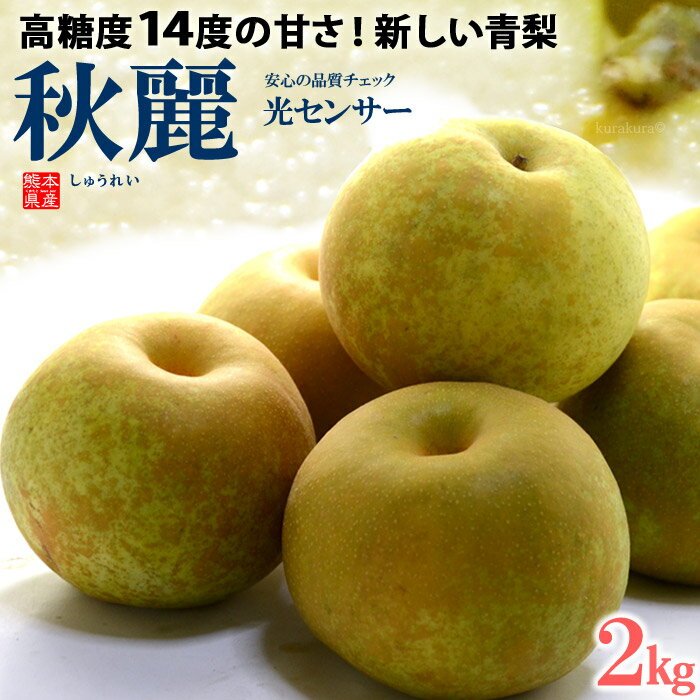 秋麗梨 5-6玉 (約2kg) 熊本産 秀品 しゅうれい 青梨 梨 なし ナシ pear 高糖度 和梨 食品 フルーツ 果物 和梨 残暑見舞い ギフト お供え 御供え 送料無料